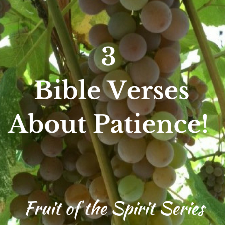 3 Bible Verses About Patience! – Miraculous Lovely