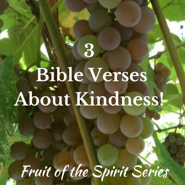 3 Bible Verses About Kindness – Miraculous Lovely